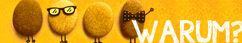 teamerlei - seminare, trainings, beratung