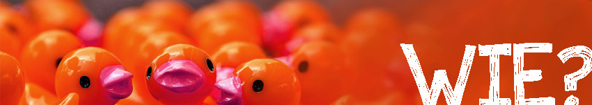 teamerlei - seminare, trainings, beratung